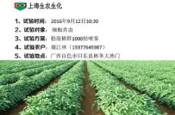 上海人和猛虎敌！稳占中超第一，旗开得胜