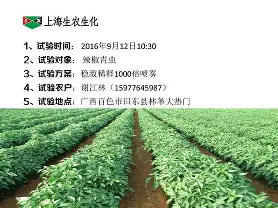 上海人和猛虎敌！稳占中超第一，旗开得胜