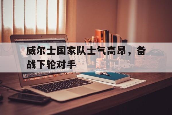 球天下体育直播-威尔士国家队队长是谁